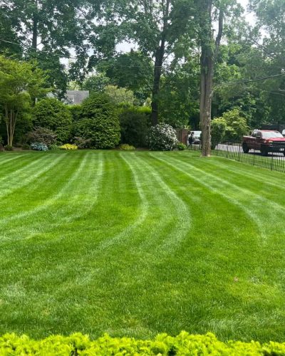 samayalandscaping (30)