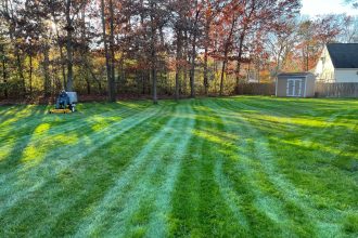 samayalandscaping (51)