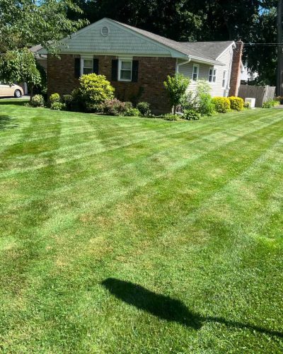 samayalandscaping (77)