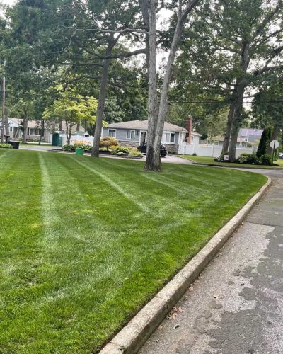 samayalandscaping (83)